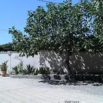 Ida *